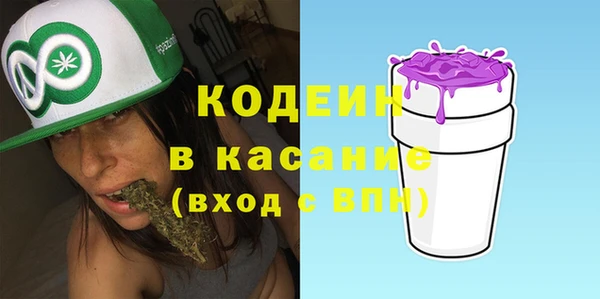 индика Михайлов