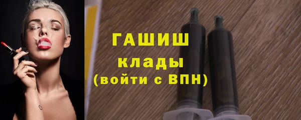 индика Михайлов