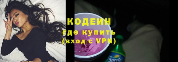 индика Михайлов