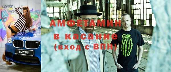 индика Михайлов