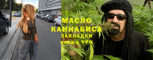индика Михайлов