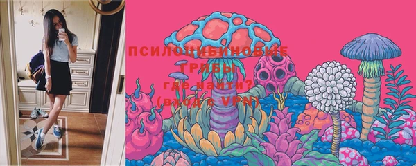индика Михайлов