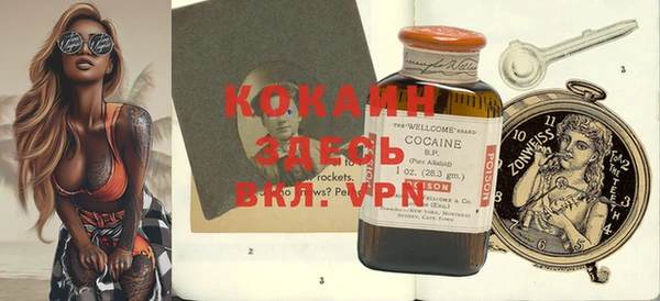 индика Михайлов