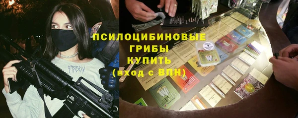индика Михайлов