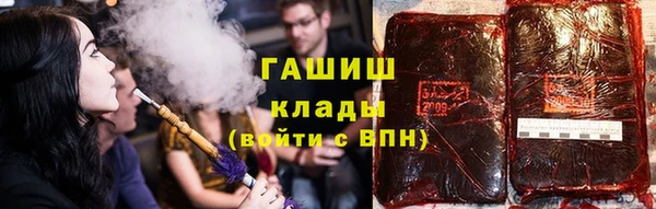 индика Михайлов