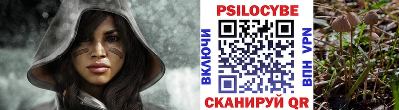 Галлюциногенные грибы мицелий  как найти наркотики  Осташков 