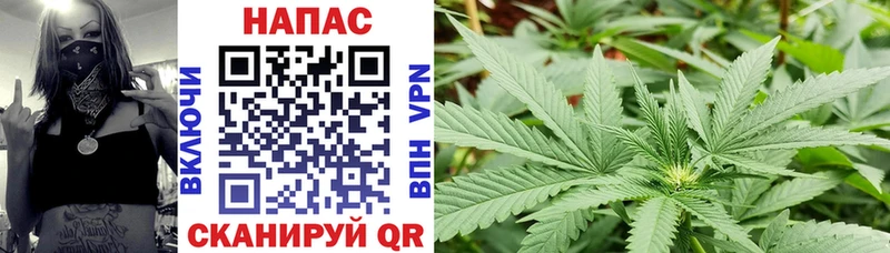 Конопля конопля как найти закладки Осташков